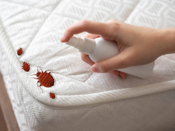 Best Residential Pest Control  in Faith, NC