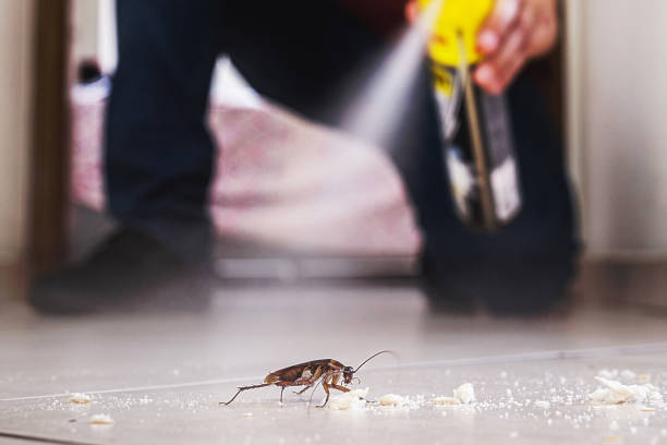 Best Cockroach Control Services  in Faith, NC